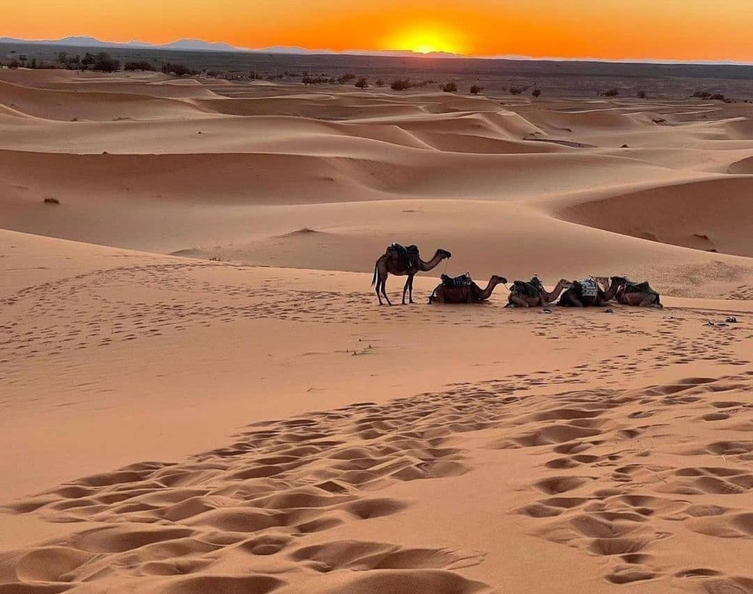 Erg Chegaga Nomad Tour Panzió M'Hamid Kültér fotó