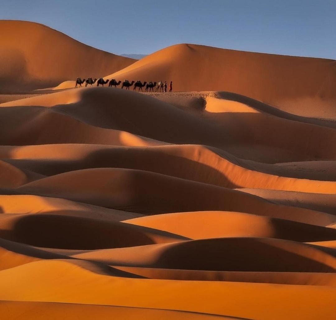 Erg Chegaga Nomad Tour Panzió M'Hamid Kültér fotó